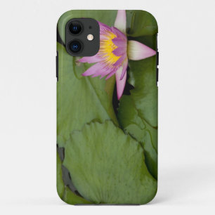 China, Hong Kong, Nieuwe Gebieden. Chi Lin Case-Mate iPhone Case
