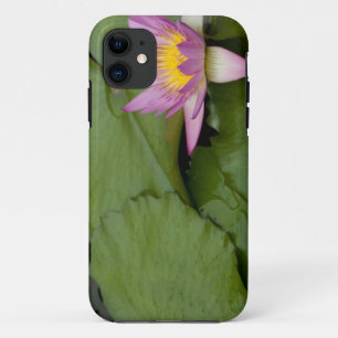 China, Hong Kong, Nieuwe Gebieden. Chi Lin iPhone 11 Hoesje