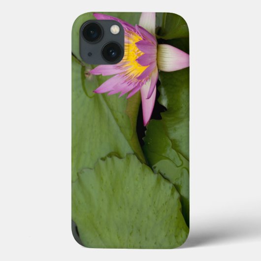 China, Hong Kong, Nieuwe Gebieden. Chi Lin Case-Mate iPhone Case (Achterkant)