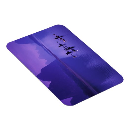 China, Li River. aalscholvervissers. Magneet (Rechterzijde)