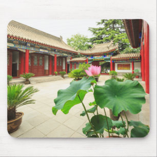 China Pagoda Interior Muismat