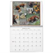 China Panda Adventure - Agenda 2012 Kalender (Mar 2027)