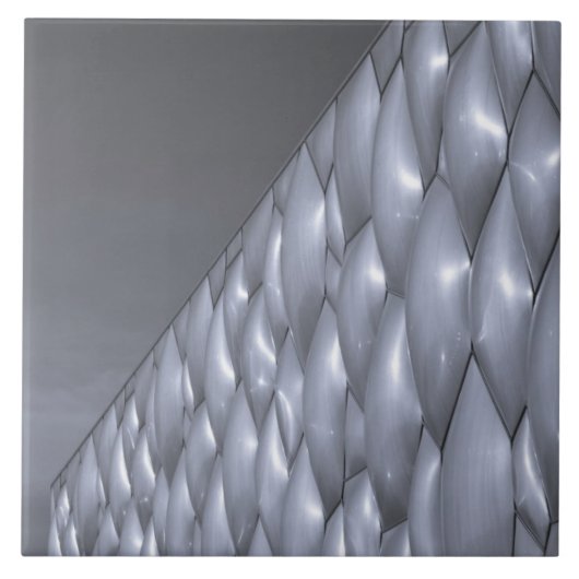 China, Peking. Nationaal Centrum voor de waterhuis Tegeltje (Voorkant)