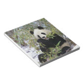 China, provincie Sichuan. Giant Panda voedt zich d Notitieblok (Schuin)