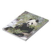 China, provincie Sichuan. Giant Panda voedt zich d Notitieblok (Linkerzijde)