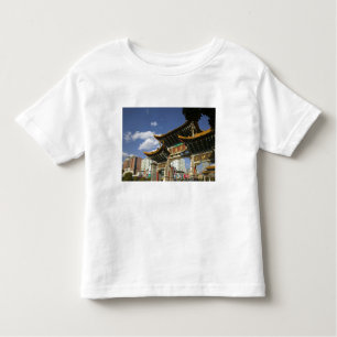 CHINA, provincie Yunnan, Kunming. Memorial Arch Kinder Shirts