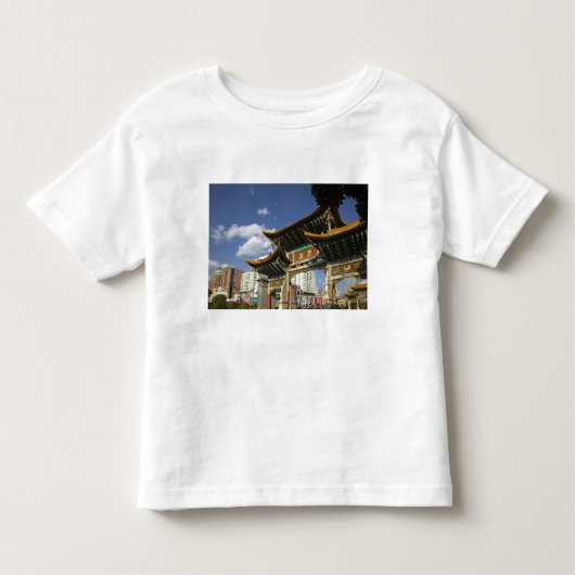 CHINA, provincie Yunnan, Kunming. Memorial Arch Kinder Shirts (Voorkant)