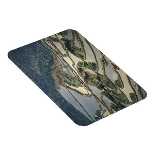 China, provincie Yunnan. Overstromde rijstterrasse Magneet (Rechterzijde)