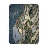 China, provincie Yunnan. Overstromde rijstterrasse Magneet (Verticaal)