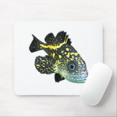 China Rockfish Muismat (Met muis)