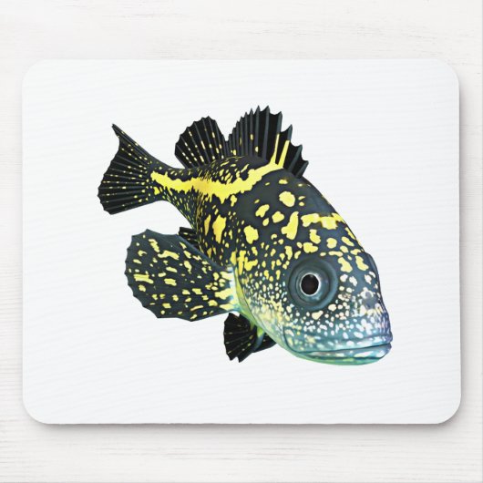 China Rockfish Muismat (Voorkant)