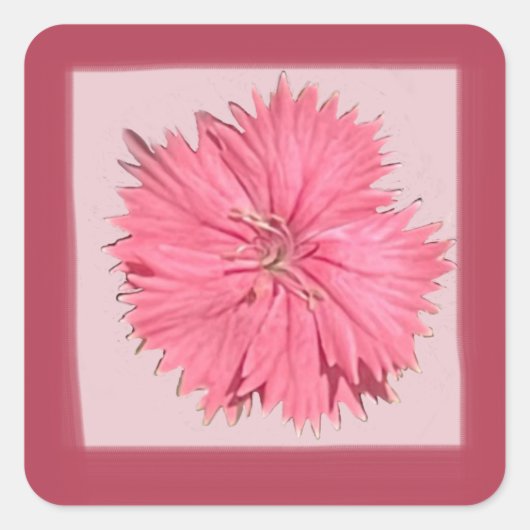 China roze ticker vierkante sticker (Voorkant)