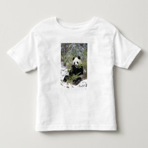 China, Sichuan provincie. Reuzenpanda voedt zich m Kinder Shirts