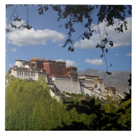 China, Tibet, Lhasa, Paleis Potala Tegeltje (Voorkant)