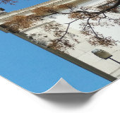 Chinaberrieboom in Lissabon Poster (Hoek)