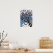 Chinaberrieboom in Lissabon Poster (Keuken)