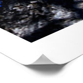 Chinaberry Tree tegen Azure Sky Poster (Hoek)