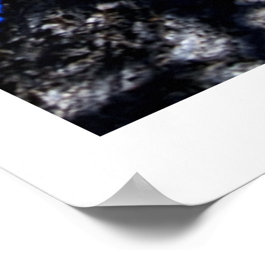 Chinaberry Tree tegen Azure Sky Poster (Hoek)