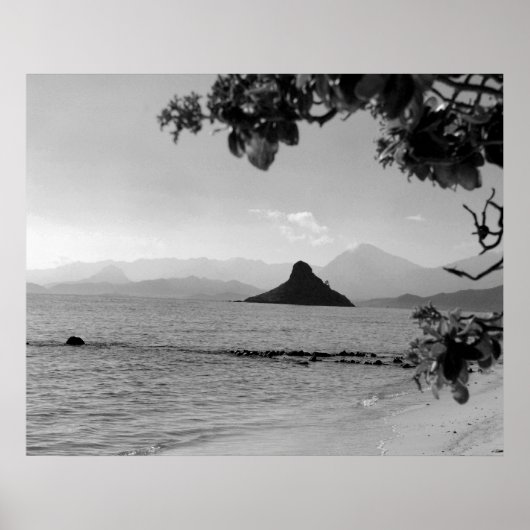 Chinamans Pet _bw Poster (Voorkant)