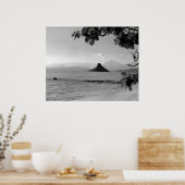 Chinamans Pet _bw Poster (Keuken)