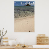 Chinamans Pet Poster (Keuken)