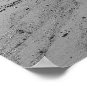 Chinamans Pet Poster (Hoek)