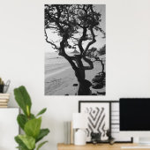 Chinamans Pet Poster (Thuiskantoor)