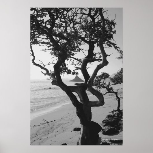 Chinamans Pet Poster (Voorkant)