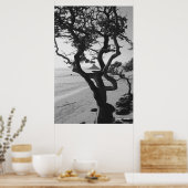 Chinamans Pet Poster (Keuken)