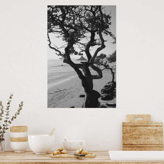 Chinamans Pet Poster (Keuken)