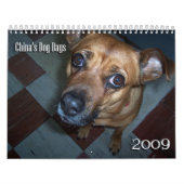 China's Dog Days 2009 Agenda Kalender (Hoes)