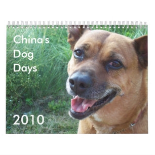 China's Dog Days 2010 Kalender