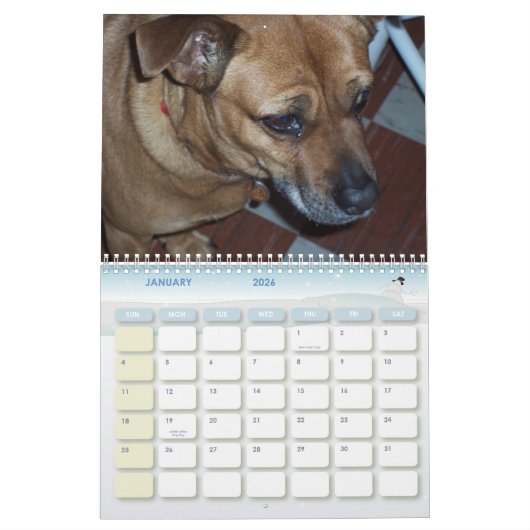 China's Dog Days 2010 Kalender (Jan 2026)