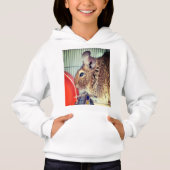 Chinchilla (Voorkant)