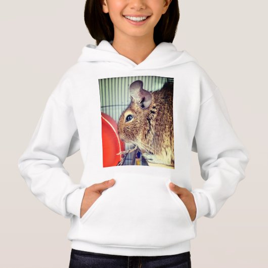 Chinchilla (Voorkant)