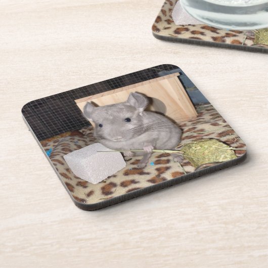 Chinchilla Bier Onderzetter (Linkerzijde)