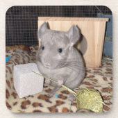 Chinchilla Bier Onderzetter (Voorkant)
