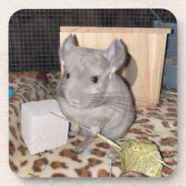 Chinchilla Bier Onderzetter