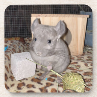 Chinchilla Bier Onderzetter