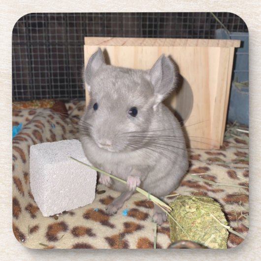 Chinchilla Bier Onderzetter (Voorkant)