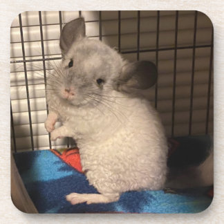 Chinchilla Bier Onderzetter