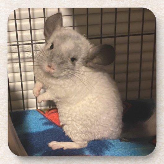 Chinchilla Bier Onderzetter (Voorkant)