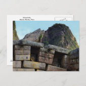 Chinchilla bij Machu Picchu, Peru Briefkaart (Voorkant / Achterkant)