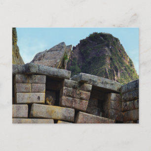 Chinchilla bij Machu Picchu, Peru Briefkaart
