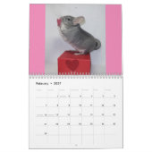 Chinchilla Calendar Kalender (Feb 2027)