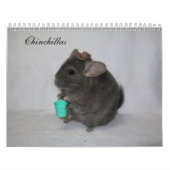 Chinchilla Calendar Kalender (Hoes)