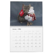 Chinchilla Calendar Kalender (Jan 2026)