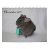 Chinchilla Calendar Kalender (Hoes)