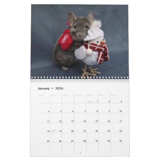 Chinchilla Calendar Kalender (Jan 2026)