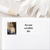 chinchilla etiket (Insitu)